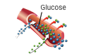 glucose icon