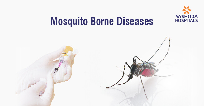 Mosquito borne diseases