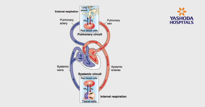 Pulmonary Endarterectomy