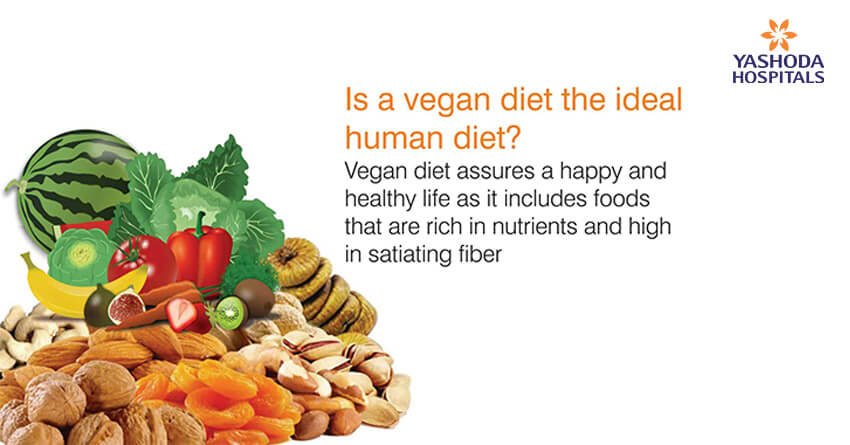 vegan diet ideal human diet